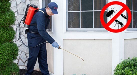 Sulusaray Fare İlaçlama böcek ilaçlama ve haşere kontrolü — ilaclama-tr.com